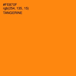 #FE870F - Tangerine Color Image