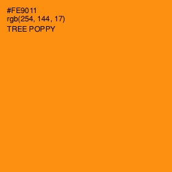 #FE9011 - Tree Poppy Color Image