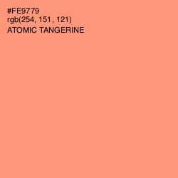 #FE9779 - Atomic Tangerine Color Image