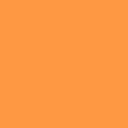 #FE9842 - Tan Hide Color Image