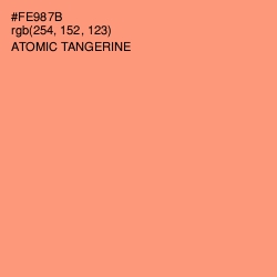 #FE987B - Atomic Tangerine Color Image