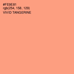 #FE9E81 - Vivid Tangerine Color Image