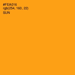 #FEA016 - Sun Color Image