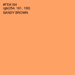 #FEA164 - Sandy brown Color Image