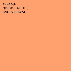 #FEA16F - Sandy brown Color Image