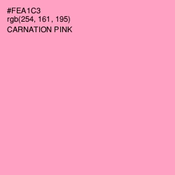 #FEA1C3 - Carnation Pink Color Image