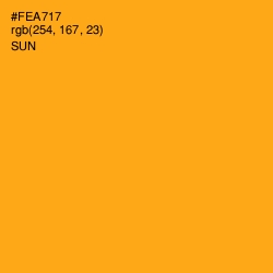 #FEA717 - Sun Color Image