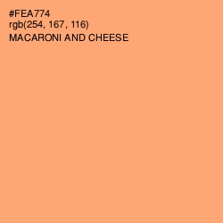 #FEA774 - Macaroni and Cheese Color Image
