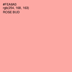 #FEA8A3 - Rose Bud Color Image