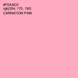 #FEAAC0 - Carnation Pink Color Image