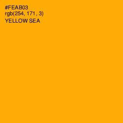 #FEAB03 - Yellow Sea Color Image