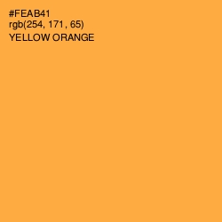 #FEAB41 - Yellow Orange Color Image