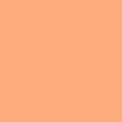 #FEAB7C - Macaroni and Cheese Color Image