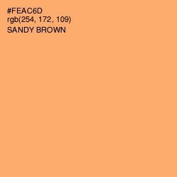 #FEAC6D - Sandy brown Color Image