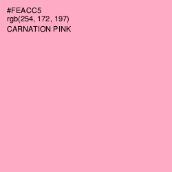 #FEACC5 - Carnation Pink Color Image