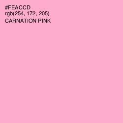 #FEACCD - Carnation Pink Color Image