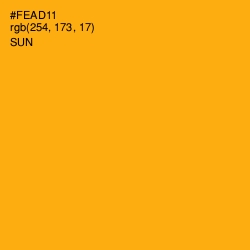 #FEAD11 - Sun Color Image