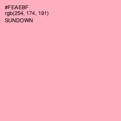 #FEAEBF - Sundown Color Image