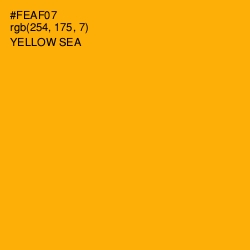 #FEAF07 - Yellow Sea Color Image