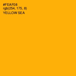 #FEAF08 - Yellow Sea Color Image
