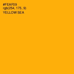 #FEAF09 - Yellow Sea Color Image