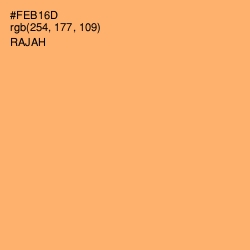 #FEB16D - Rajah Color Image