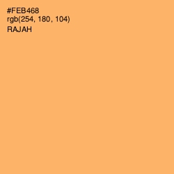 #FEB468 - Rajah Color Image