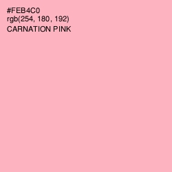#FEB4C0 - Carnation Pink Color Image
