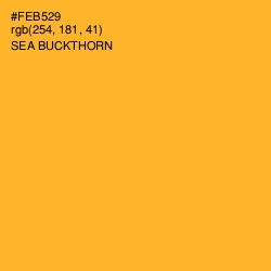 #FEB529 - Sea Buckthorn Color Image