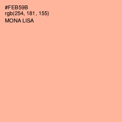 #FEB59B - Mona Lisa Color Image