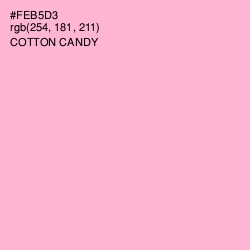 #FEB5D3 - Cotton Candy Color Image