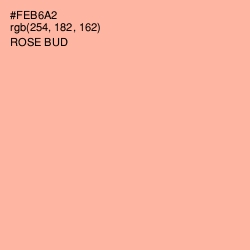 #FEB6A2 - Rose Bud Color Image