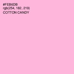 #FEB6DB - Cotton Candy Color Image