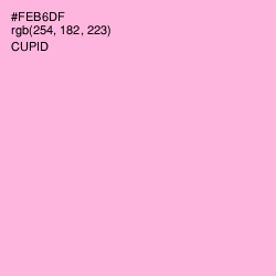 #FEB6DF - Cupid Color Image