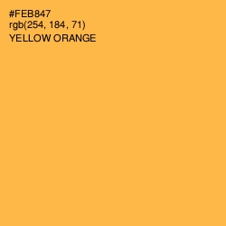 #FEB847 - Yellow Orange Color Image