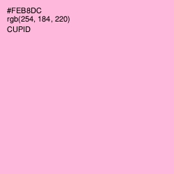 #FEB8DC - Cupid Color Image