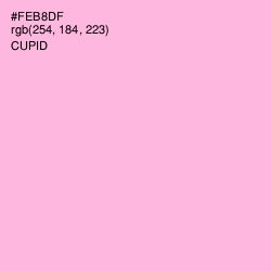 #FEB8DF - Cupid Color Image