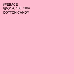 #FEBACE - Cotton Candy Color Image