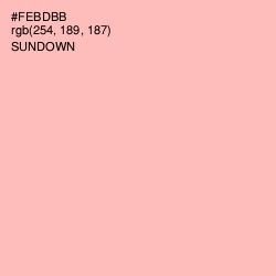 #FEBDBB - Sundown Color Image