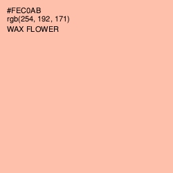 #FEC0AB - Wax Flower Color Image