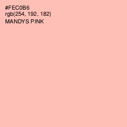 #FEC0B6 - Mandys Pink Color Image