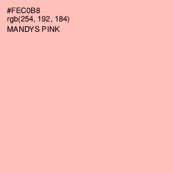 #FEC0B8 - Mandys Pink Color Image