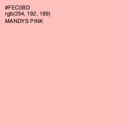 #FEC0BD - Mandys Pink Color Image