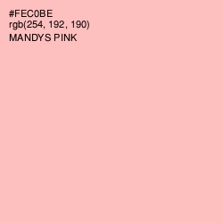 #FEC0BE - Mandys Pink Color Image