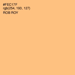 #FEC17F - Rob Roy Color Image