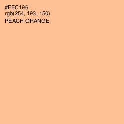 #FEC196 - Peach Orange Color Image