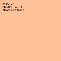 #FEC197 - Peach Orange Color Image