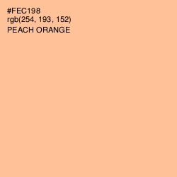 #FEC198 - Peach Orange Color Image