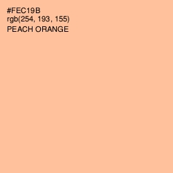 #FEC19B - Peach Orange Color Image