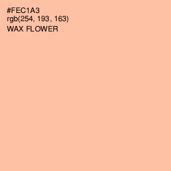 #FEC1A3 - Wax Flower Color Image